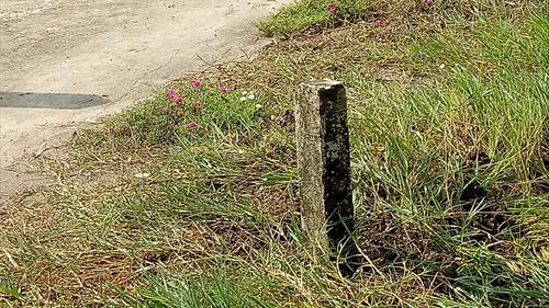 Bán đất Xã Tân Ân, Huyện Cần Đước 