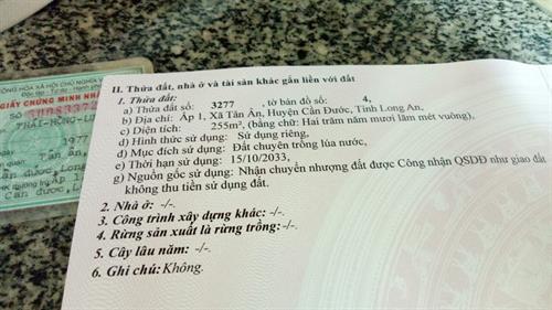 Bán đất Xã Tân Ân, Huyện Cần Đước 