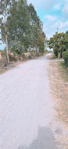 Bán đất thổ cư Đường Nguyễn Quang Đại,Xã Mỹ Lệ, Huyện Cần Đước 