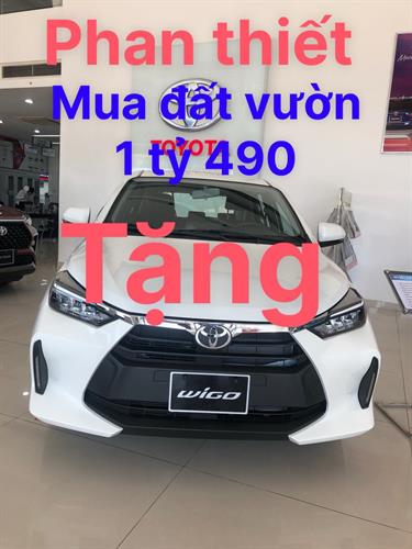 Mua đất cây trồng Bình Thuận,  Tặng ngay ô tô 