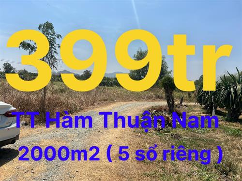 Bán đất Thị Trấn Hàm Thuận Nam 