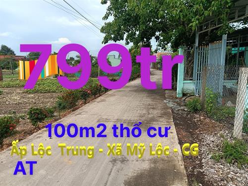 MUA BÁN ĐẤT XÃ MỸ LỘC, HUYỆN CẦN GIUỘC GIÁ RẺ THÁNG 07/2024