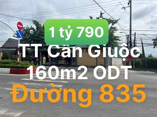 Đất thổ cư đường 835 Thị Trấn Cần Giuộc ( đã bán )