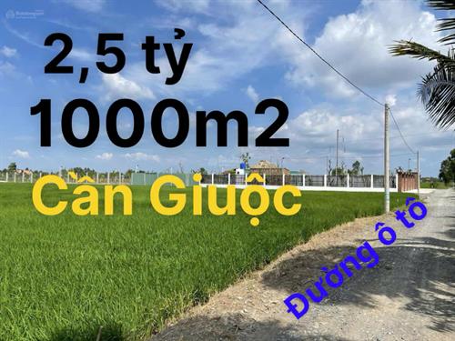 Đất Cần Giuộc - Ấp 4 xã Long An 