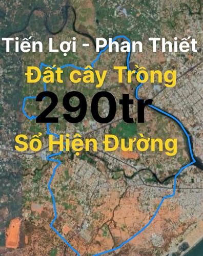 Đất sào Phan Thiết 