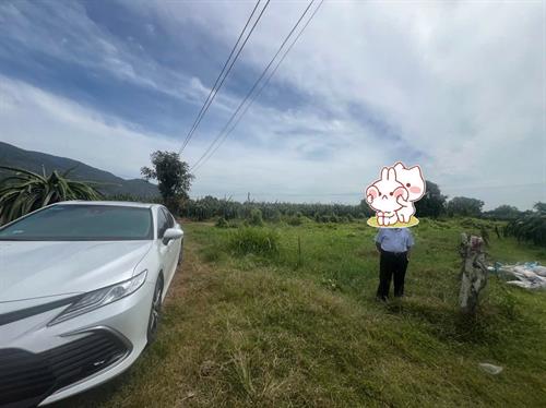 Bán nhanh Lô đất 300m2 giá chỉ 150 triệu đồng tặng nhà